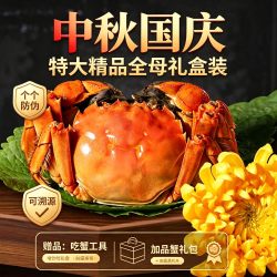 八神 苏州精品大闸蟹 母蟹 礼盒