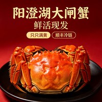 移动端：盈澄 活蟹阳澄湖大闸蟹礼盒大闸蟹鲜活螃蟹全母蟹大闸蟹官方旗舰店特大