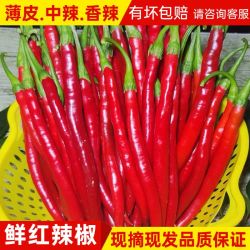新鲜红辣椒二荆条红线椒薄皮中辣红二荆条辣椒可做剁椒5斤