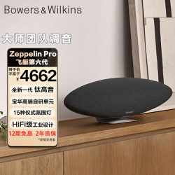 宝华韦健 Zeppelin Pro 6代 蓝牙音箱  太空灰