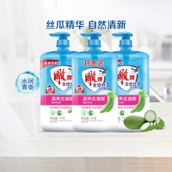 雕牌 全效丝瓜洗洁精