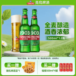 青岛啤酒 经典1903 500ml*12瓶 整箱装