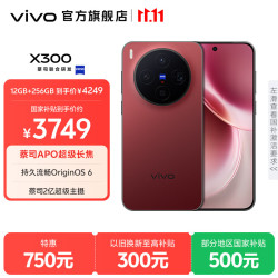 vivo X300 蔡司2亿超级主摄 好运红 12GB+256GB 手机