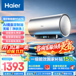 海尔 电热水器家用60升一级能效变频卫生间洗澡80L免清洗PFA7