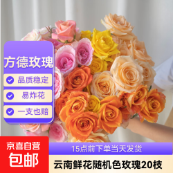 云南 鲜花玫瑰花鲜切水养情人节生日礼物京东物流 方德玫瑰随机色20支