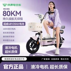 绿源 48V20Ah铅酸电池 新国标电动自行车