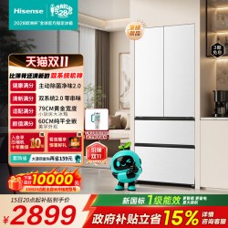 海信 BCD-509E5SFZKD 法式多门超薄零嵌入冰箱
