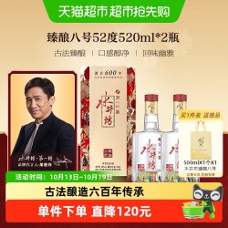 水井坊 浓香白酒礼盒 礼袋  浓香型 52%Vol. 包装 520ml