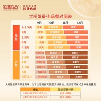 阳澄联合 精品鲜活大闸蟹 全母蟹