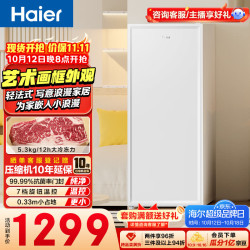 海尔 BD-211GHW9 家用立式冰柜 211L