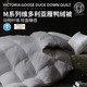 今日必买：AusGolden 澳洲轻奢95%灰鸭绒羽绒被 1200g充绒 加厚冬被 200*230cm