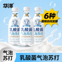 华洋 乳酸菌苏打水气泡水 酸奶优酸乳风味儿童早餐奶饮料整箱装 【原味*12瓶 整箱装】乳酸菌苏打