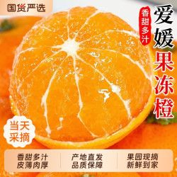 沃翼 正宗四川爱媛38号果冻橙新鲜橙子5斤