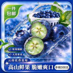 云南蓝莓 生鲜水果 源头直发 单盒净重100g 花香蓝莓15mm+ (500g一桶)*2