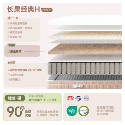 卧室床垫可拆洗1米5x2米床垫0胶水黄麻可调节席梦思家庭用床垫