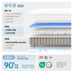 双人卧室家用透气速干弹簧床垫酷布独立袋家用可拆洗床垫