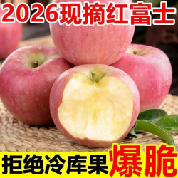 红富士苹果 带箱 9.5-10 斤大果