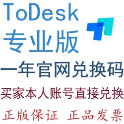 ToDesk远程控制软件专业版一年官方兑换码vip会员含安卓插件不含海外节点 专业版1用户1年官网兑换码国内使用