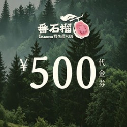 500元代金券|限1张