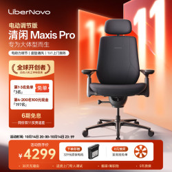 LiberNovo MAXIS Pro 人体工学椅 石墨灰