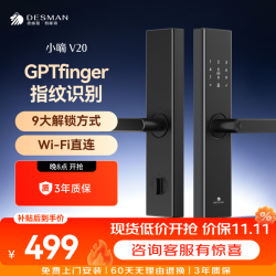 德施曼 V20 指纹密码 电子锁