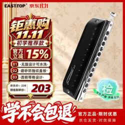 东方鼎 先行者2.0 12孔48音半音阶口琴 C调 黑色