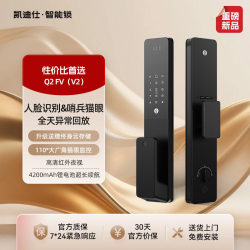 凯迪仕 Q2FV (V2) 人脸识别猫眼指纹智能门锁