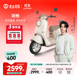 台铃 菲畅 21Ah铅酸电池 电动摩托车