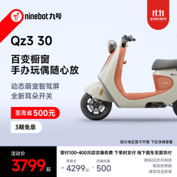 九号 Qz3 30 新国标电动自行车