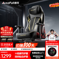 傲风 电竞椅  黑金 单椅