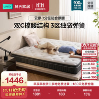 林氏家居 乳胶床垫1.8米x2米双人家用记忆棉云撑垫子分区独立弹簧垫CDT112