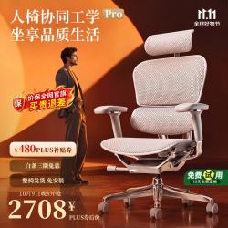 保友办公家具 保友金豪E2 Pro人体工学椅 办公椅电脑椅 银白网