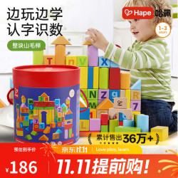 Hape E8402 益智积木 桶装 80颗粒