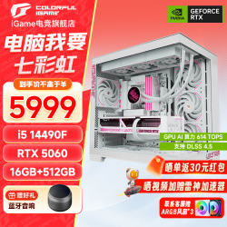 七彩虹 纯白海景房RTX 5060/5060Ti/5070搭14490F/14600KF/12600KF/270KF DIY游戏主机台式组装电脑整机 酷睿i5 14490F+5060丨京仓速发 单主机（3年质保）