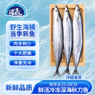 浦晟秋刀鱼净重2斤野生海捕高蛋白冷冻生鲜烧烤食材深海鱼类纯鱼肉