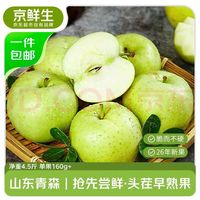 京鲜生 山东青森苹果 净重4.5斤 单果160g+ 新鲜时令水果 源头直发