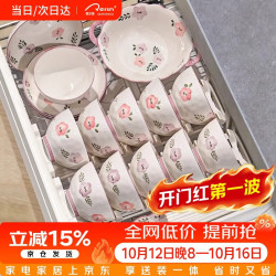 CERAMICS 碗碟套装家用好看的碗具碗盘日式清4人食紫萱花礼盒装 18件套