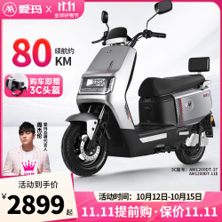 爱玛 卫士A516电动车72V长续航电动摩托车学生外卖智能解锁电瓶车  极地灰