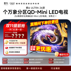 雷鸟 鹤6 Ultra 26款85英寸QD-MiniLED 固定挂架+包安装