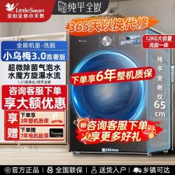 小天鹅 小乌梅3.0高奢版滚筒洗衣机12KG超微净泡纯平全嵌VE40PRO