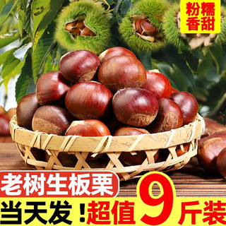 黄六爷 丹东板栗 28-32mm大果 带箱5斤