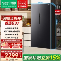 容声 BCD-637WD11HP 风冷无霜双开门变频冰箱