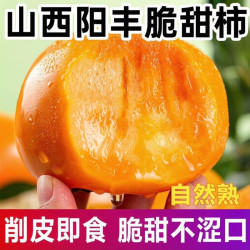 头茬】2026巧克力脆柿子生吃甜脆柿子山西硬柿子无核批发应季水果