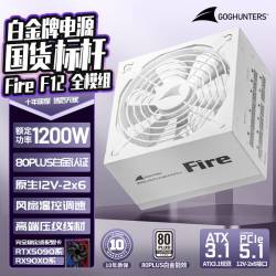 长城 F12 白金牌全模组 1200W ATX3.1 电脑电源