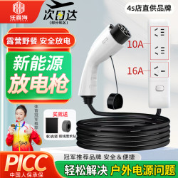 任鑫海 露营野餐应急用电 新能源汽车外放电枪 4000w