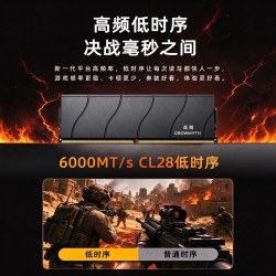 晶刚 炽焰先锋 DDR5 5600MHz C28 台式机内存条