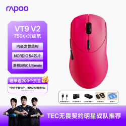 雷柏 VT7 V2版 轻量化PAW3950引擎 三角洲行动FPS电竞鼠标 树莓粉