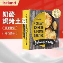 埃丝蓝 Iceland比利时进口 冷冻西餐小食 空气炸锅食材薯制品 部分临期 奶酪焗烤土豆480g