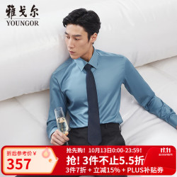 雅戈尔 VLTP119697HJY 200支纯棉免烫长袖衬衫 蓝色 40
