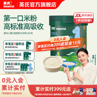 英氏 多乐能系列 维C加铁营养米粉 国产版 1阶 原味 258g